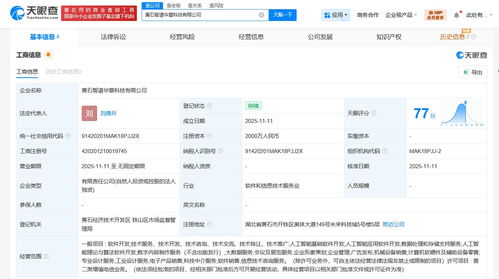 智譜AI湖北黃石新公司 應用軟件服務助力區(qū)域數字化發(fā)展