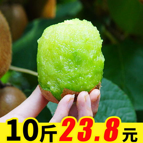 陜西綠心獼猴桃 應季鮮果，批發(fā)優(yōu)選