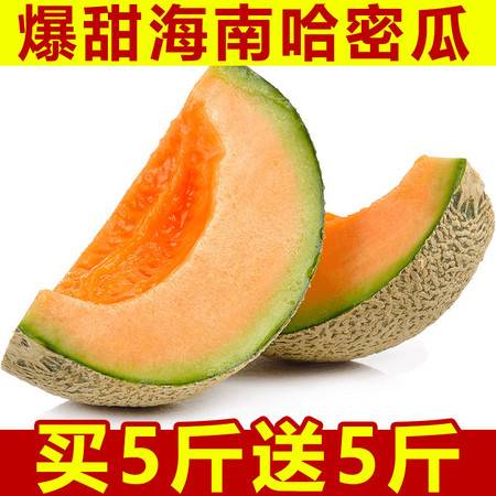 海南哈密瓜 現(xiàn)摘直發(fā)，甜蜜直達