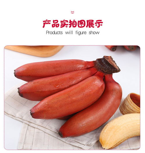 福建土樓特產(chǎn)——美人蕉紅香蕉 營養(yǎng)與商機并蓄的新鮮水果佳品